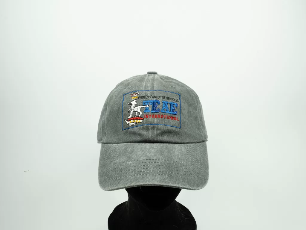 TEAE - Hat- washed Grey